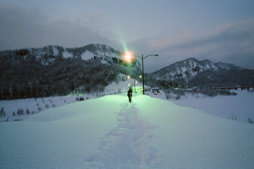 Thumbnail preview for Salomon - item 16